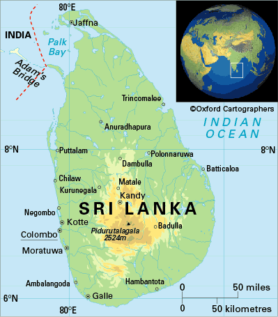 Sinhalese Translation Services